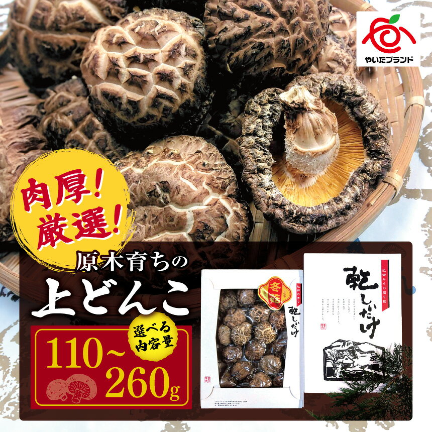 【ふるさと納税】きのこ しいたけ 肉厚・厳選！原木育ちの上どんこ 110g ～ 260g | 国産 乾燥しいたけ 原木しいたけ 上どんこ どんこ 干ししいたけ 椎茸 天然 栃木県 矢板市