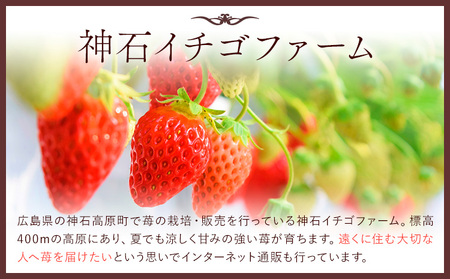 いちご 神石イチゴファームの苺 神の苺 9粒 約360g  I-temホールディングス株式会社《12月中旬-3月末頃出荷》いちご イチゴ 苺 フルーツ 果物 送料無料