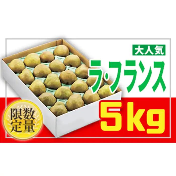 ☆フルーツ王国山形☆【家庭用】ラ・フランス 5kg FZ26-805