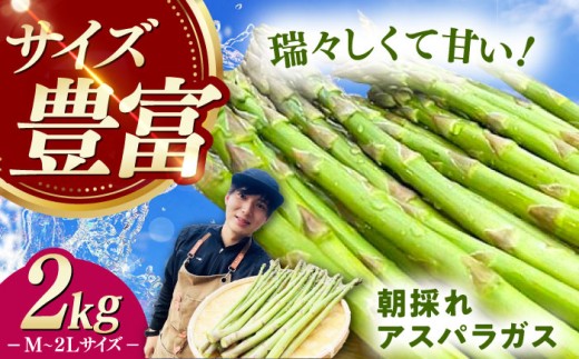 【3月中旬以降順次発送】朝採れアスパラガス2kg 《対馬市》【農家くんのアスパラファーム】  冷蔵 アスパラ あすぱら とれたて 新鮮 野菜 産地直送 [WCT002]