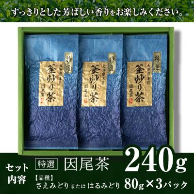ふるさと納税 佐伯市 特選 釜炒り茶 因尾茶 (計240g・80g×3P) |  | 02