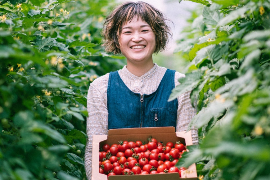 トマト ミニトマト ミニトマト エコスイート 1.5kg [そのぎ茶深緑の里 長崎県 東彼杵町 hs42bag570002] トマト ミニトマト エコスイート 甘い