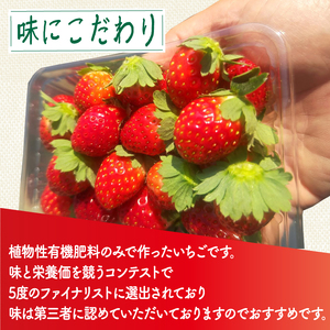 植物系有機肥料のいちご 瑠璃の宝箱 訳あり 計1.2kg(300g×4P)《2026年2月-5月発送》 先行受付 【いちご】