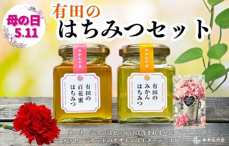 【母の日ギフト】有田のはちみつセット（みかん蜂蜜210g 百花蜂蜜210g 各1本）和歌山県産 産地直送【みかんの会】