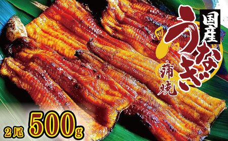 国産 うなぎ 炭火焼  2尾 約500g タレ付 鰻 鰻 鰻 鰻 鰻 鰻 鰻