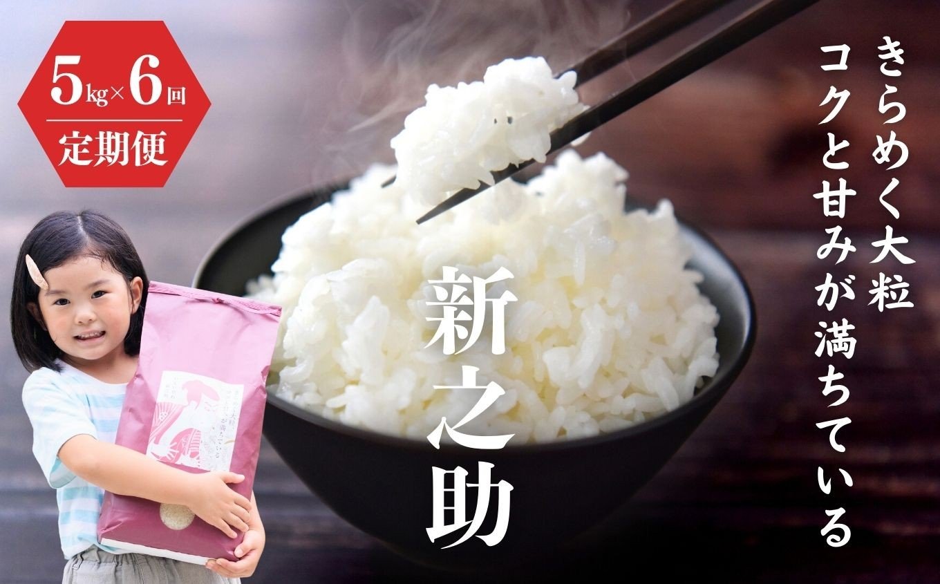 
                  令和7年産【定期便】新之助 5kg×6ヶ月 計30kg 米・食味鑑定士お墨付き 家族みんなで愛情かけて育てた米 新潟県糸魚川産 2025年 しんのすけ 白米 百姓や伝六【米 お米 こめ ご飯 ライス ふるさと納税米 食品 人気 おすすめ お弁当 おにぎり ギフト 新潟県の新しいブランド米 農家直送 5キロ 精米 6回 6か月】
                