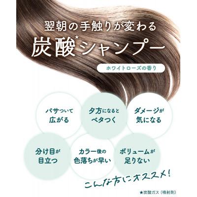 ふるさと納税 幸手市 モッチスキン 吸着スパークリングシャンプー |  | 02