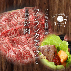 ＜宮崎県産黒毛和牛 カルビ焼肉用700gと焼肉のたれセット＞ K16_0007_1