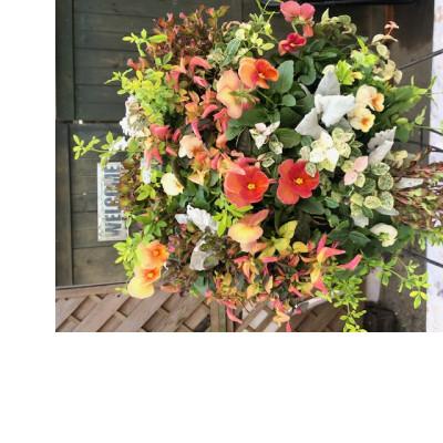 ふるさと納税 藤枝市 【発送月固定定期便】【3ヶ月毎】季節のおまかせハンギングバスケット寄せ植え全4回 |  | 02
