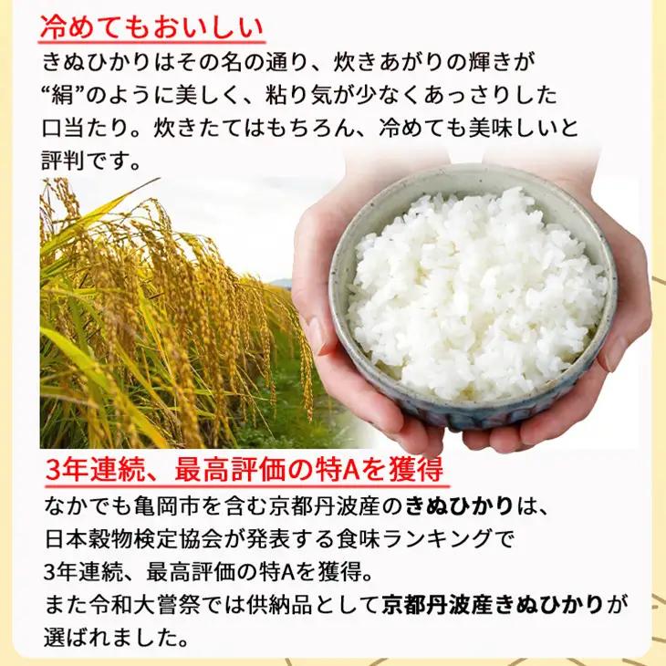 【6回定期便】令和8年産 無洗米 きぬひかり 5kg×6回