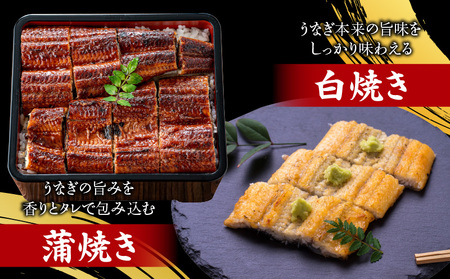 焼鰻特選メス妃うなぎ特大2尾　計340g　（白焼き・たれ付き）・Y098