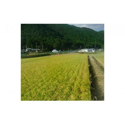 ふるさと納税 那賀町 那賀町相生産キヌヒカリ白米10kg |  | 02