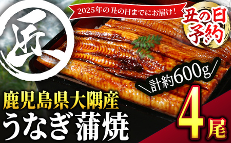 【土用の丑の日予約】鹿児島県大隅産うなぎ蒲焼４尾（600g）【2025年7月19日までに順次発送】