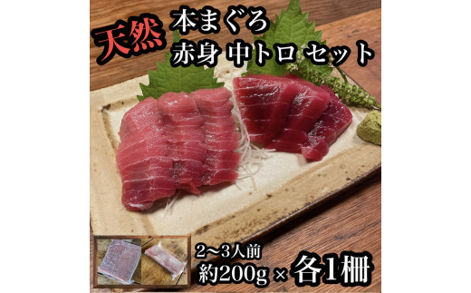 
貴重な天然本鮪 赤身 約200g 中トロ 約200g 各1柵 2〜3人前●赤身はマグロの中心部天身を使用！中とろの脂はくどくない上質な脂！【赤身 天身 惣菜 海鮮 お取り寄せ 御中元 お中元 お歳暮 父の日 母の日 贈り物 日本酒 焼酎】【神奈川県小田原市早川】
