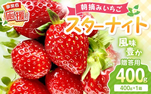 【2027年1月～2027年4月発送予定】【贈答用】朝摘みいちご スターナイト 400g【配送不可地域：北海道・沖縄・離島】【117D-011-2027】