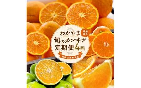 ★【全4回】和歌山旬のカンキツ定期便【M】3・5・9・11月発送（ご家庭用）※北海道・沖縄県・離島への配送不可 / 春の柑橘 初夏の柑橘 青切り 有田みかん 完熟有田みかん フルーツ くだもの 果物【ard-tkb906】 