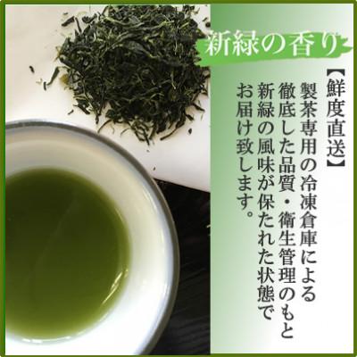 ふるさと納税 佐賀県 【数量限定】濃厚な味わいの玉露(100g)と高級嬉野茶(100g×2本) |  | 02