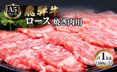飛騨牛 牛肉 焼肉 ロース A5 飛騨牛【500g×2 計1kg】