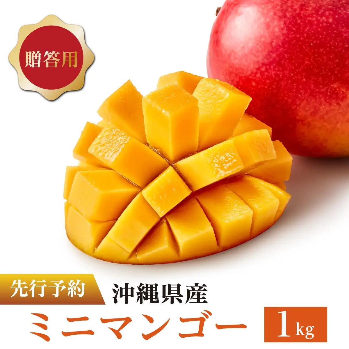 ＜先行予約＞ミニマンゴー1kg 贈答用   I  ミニ マンゴー 1kg 贈答 用 フルーツ 果物 ギフト   沖縄県 南城市 ふるさと納税 石崎ファーム