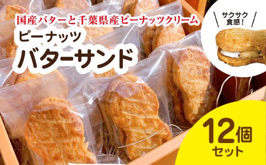 産地直送のピーナッツバターサンド×12個セット 千葉県 大網白里市 BD001