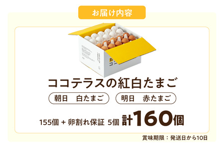 ココテラスの紅白たまご　155個 + 5個保証（計160個）【JGAP認証】 農家直送 新鮮 卵 タマゴ 赤卵 白卵 玉子 鶏卵 朝食 夕食 夜食 朝ごはん たまご焼き だし巻き卵 オムレツ 卵ご飯 