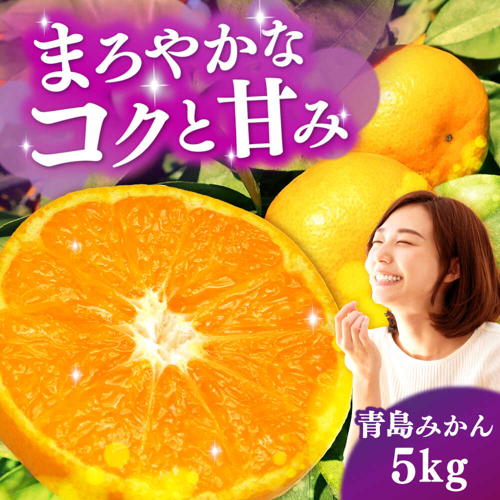 【ふるさと納税】【2027年1月より発送】青島みかん 5kg（箱込み）長与町/岩永農園[EAZ008]