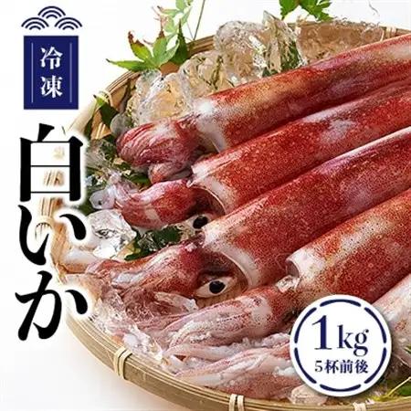 冷凍白いか1kg入(5杯前後)【配送不可地域：離島】【1049617】