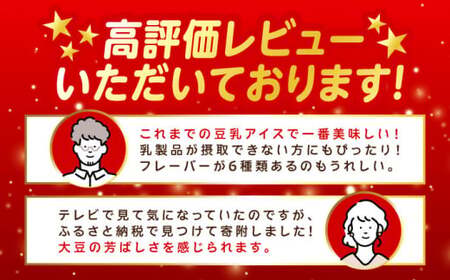 【全3回】豆乳アイス 12個[AQBB014]  アイス 豆乳アイス 定期便