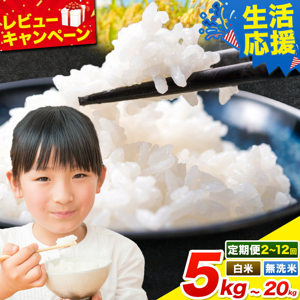【ふるさと納税】【楽天限定】 米 茨城 ふるさと米 定期便 あり 選べる 精米 無洗米 5kg 10kg 15kg 20kg 《出荷時期をお選びください》《10月下旬-11月末頃出荷》《定期は翌々月より出荷》 茨城県 河内町 米 白米 精米 国産 お米 おこめ