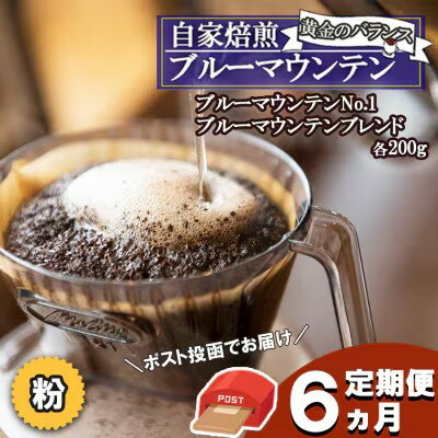 【ふるさと納税】定期便 6ヶ月 黄金のバランス ブルーマウンテン (粉・増量)【ポスト投函】 2種 各200g