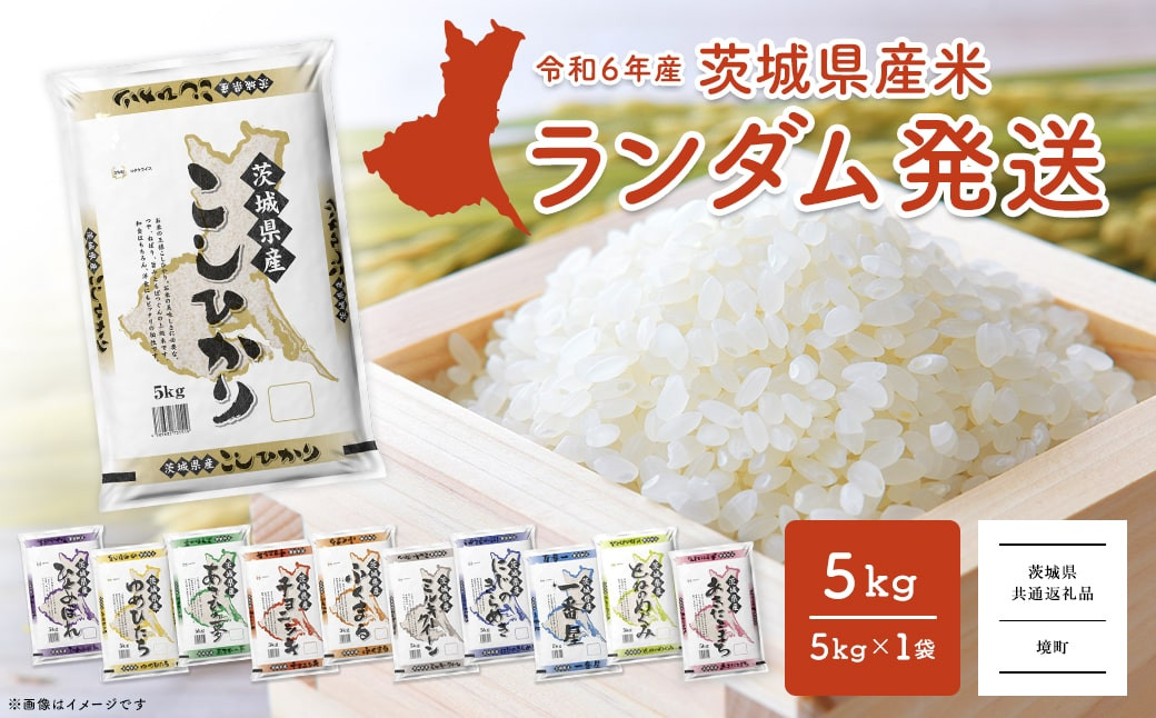 
            K2464【令和6年産】※ランダム※   お米 5kg  茨城県産 白米
          