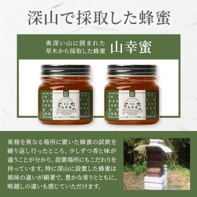 ふるさと納税 枕崎市 【数量限定】国産 生はちみつ 日本みつばち【非加熱・無添加の生蜂蜜】300g×2 B3-115 |  | 01