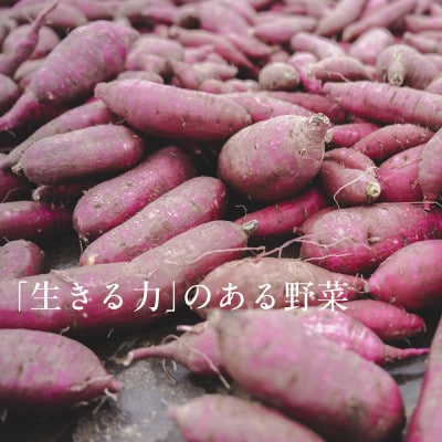 【毎月定期便】しあわせ野菜畑のシェフLセット(訳あり規格外の有機野菜を一部使用)全3回【配送不可地域：離島・北海道・沖縄県・四国・九州】