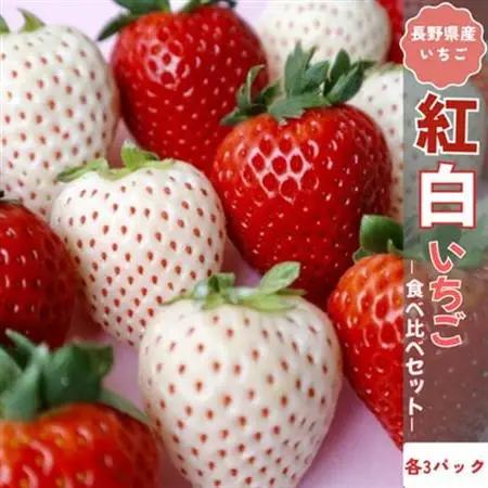 2026年12月より順次発送　長野県産　紅白いちごのたべくらべセット　各3パック【1.2kg】【配送不可地域：離島】【1705549】