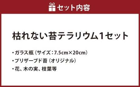 【さとリウムR】プリザーブド加工のテラリウム なごみ（橋） 1セット ｜テラリウム ガラスドーム 苔 こけ コケ 植物 鑑賞用 インテリア 水やり不要