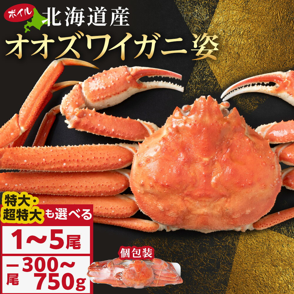 【ふるさと納税】北海道産 オオズワイガニ 1尾〜5尾 選べるサイズ 1尾300g〜350g 特大500g前後 超特大600g〜750g オオズワイガニ ボイル AM113冷凍 オオズワイガニ おおずわい蟹 姿 北海道ふるさと納税 白老 ふるさと納税 北海道 年末