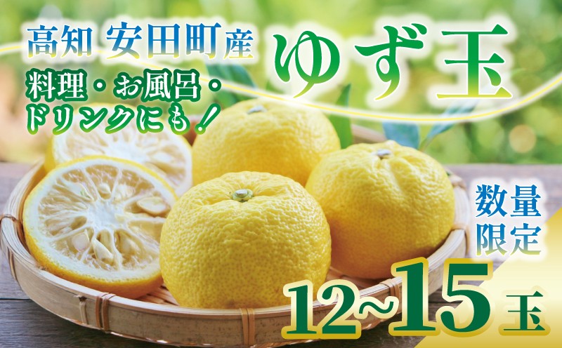 
                  【先行予約】 安田町産 ゆず玉 料理にお酒にお風呂にどうぞ 期間限定 ゆず 12-15玉 柚子 果物 柑橘 フルーツ スイーツ デザート アレンジ 柚子風呂 ゆず風呂 柚子湯 早期予約 季節限定 ふるさと納税 人気 クリスマス 年末年始 人気 プレゼント 高知 安田町 安田川 TR-26
                