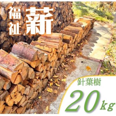 ふるさと納税 伊那市 信州産　松の薪　約20キロ　薪長35センチ