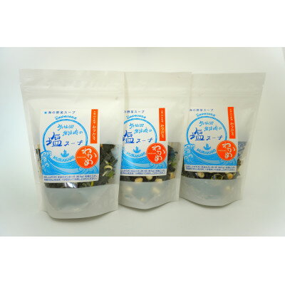 【ふるさと納税】気仙沼　岩井崎の塩スープ　40g×3袋【1614141】