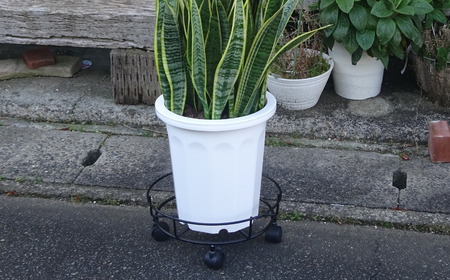 キャスター付鉢のせ台 M 植木鉢台 室内利用可 屋外 園芸用品  [株式会社オビタス] 【011S155】