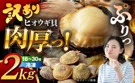 【訳あり】長崎県産 ヒオウギ貝 約2kg (16枚～30枚) 長崎県/長崎県漁業協同組合連合会 [42ZZAC008]ヒオウギ貝 BBQ 海の幸 ホタテ ひおうぎ貝 ほたて