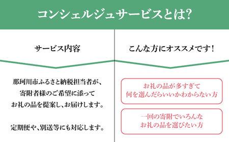 【那珂川市コンシェルジュ】返礼品おまかせ！寄附額30万円コース[GZZ022]