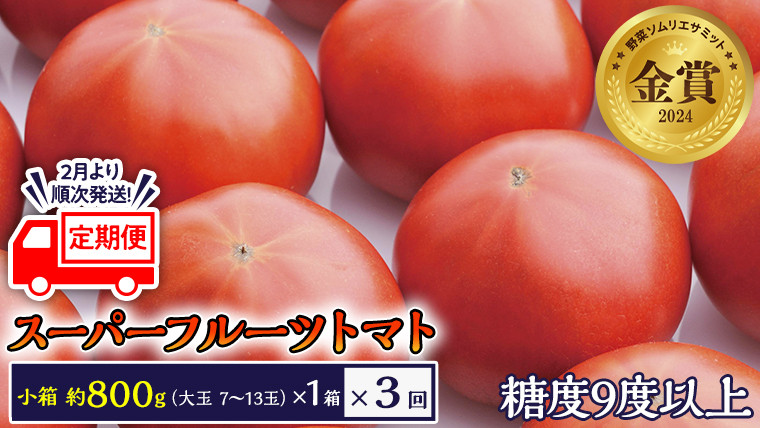 
            《 2026年収穫分 先行予約 》《 3回 定期便 》 糖度9度以上 スーパーフルーツトマト 小箱 約800g × 1箱 × 3回 フルーツトマト ブランドトマト 野菜 ギフト 贈答 [BC050sa]
          