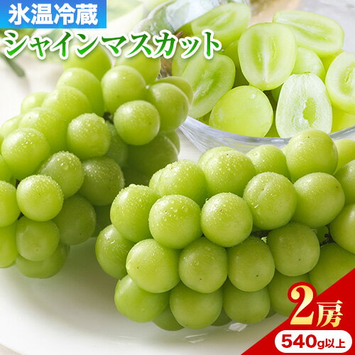 【ふるさと納税】 【2026年発送先行予約】岡山県産 冷蔵 シャインマスカット 2房 (540g以上) 【配送不可地域あり】 《11月中旬-12月末頃に出荷予定(土日祝除く)》 岡山県 矢掛町 マスカット ぶどう 葡萄 氷温冷蔵 果物 フルーツ