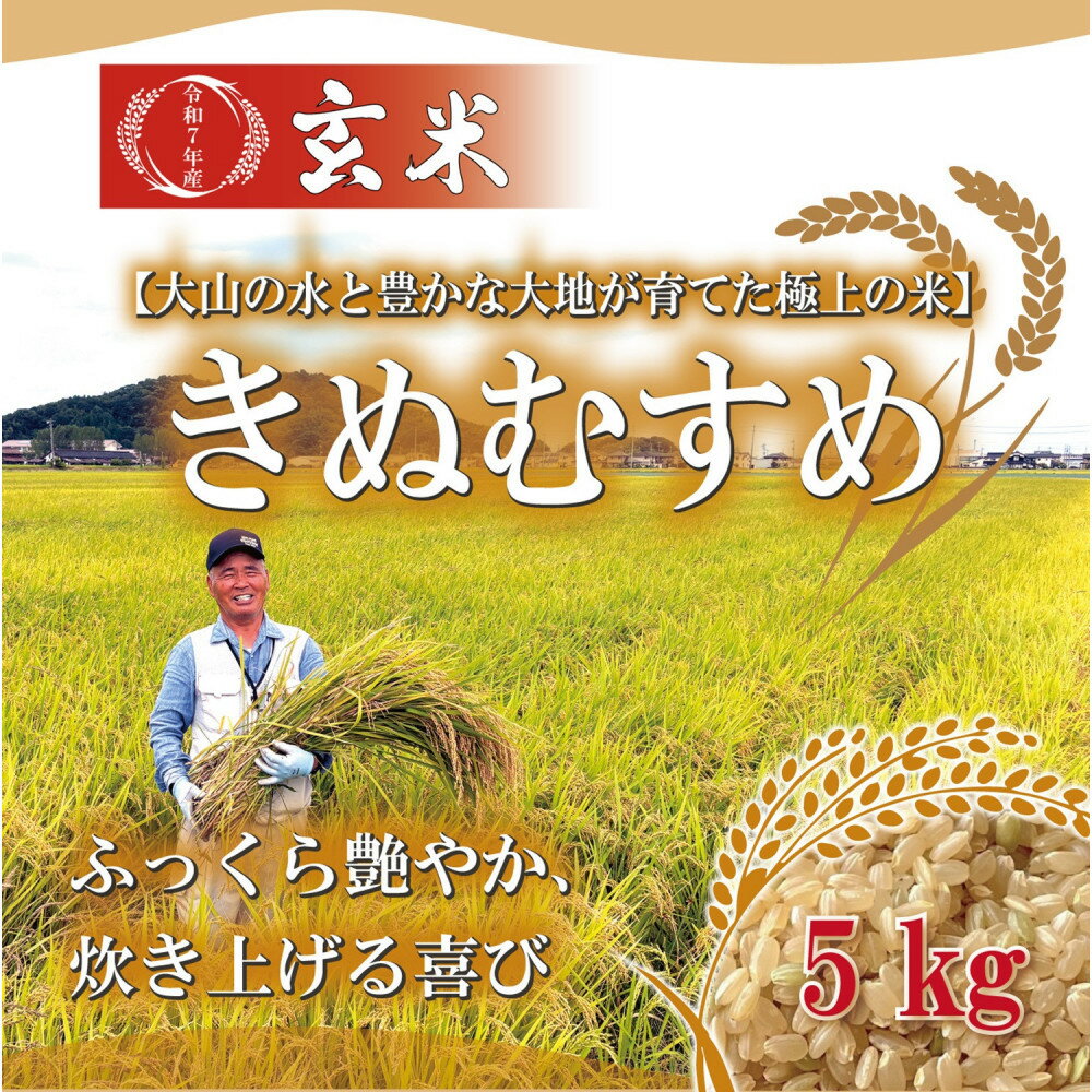 【ふるさと納税】令和7年 鳥取県産 大上農園きぬむすめ玄米5kg