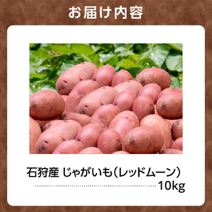 石狩産 じゃがいも(レッドムーン) 10kg【9月発送】