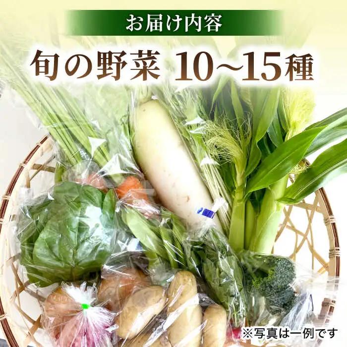 高槻野菜おまかせ詰め合わせセット 10月（10種〜15種）[AOCS016]野菜セット