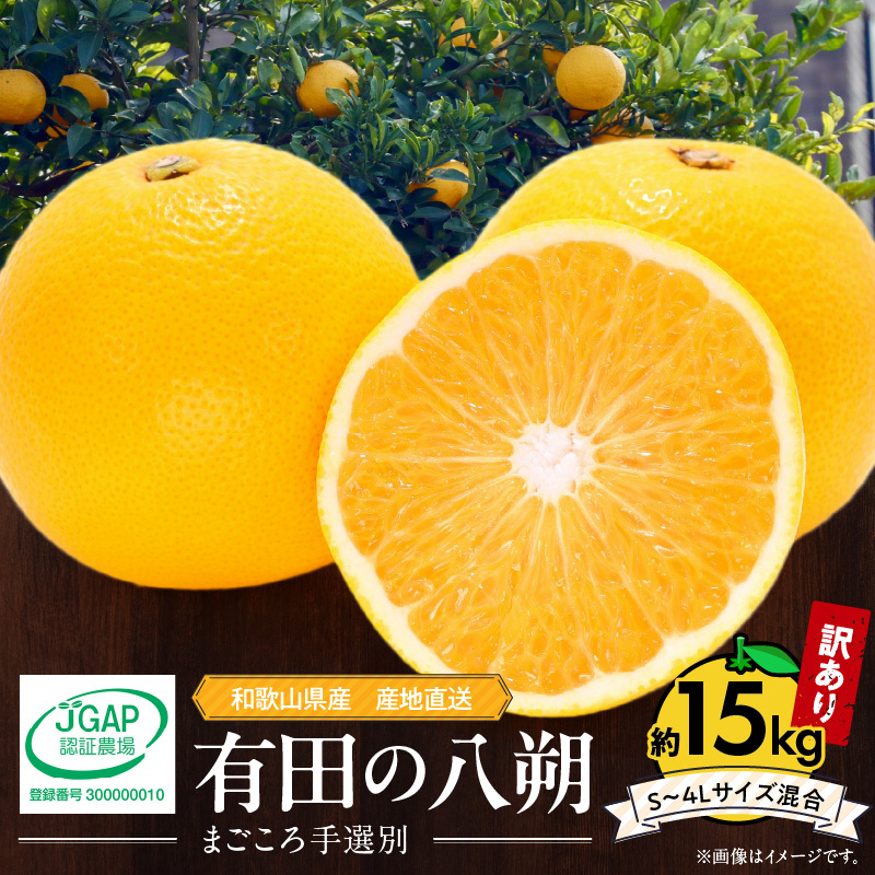 ZE6372n_和歌山県産 有田の 八朔 (はっさく) 【訳あり 家庭用】 15kg(S～4Lサイズ混合)【まごころ手選別】