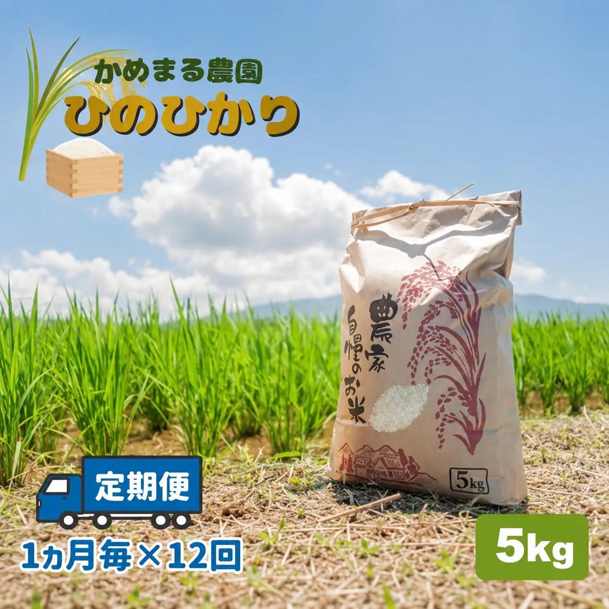 【定期便12回】 米 ひのひかり 5kg×12回 | かめまる農園