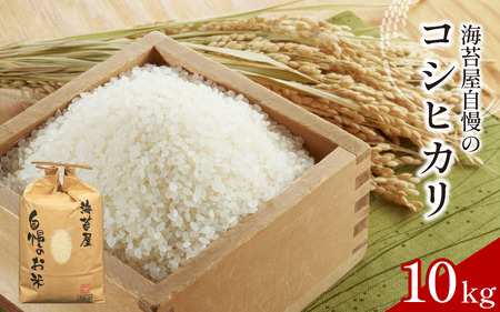 お米 コシヒカリ 10kg 令和7年産 米 こめ 海苔屋の米 米 米